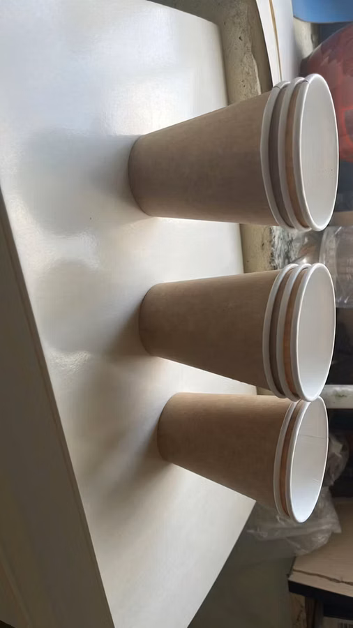 Pahare pentru rasad
