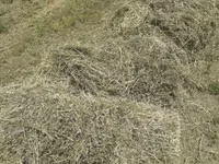 Vind tiucuri de lucerna si de paie pentru detalii sunați la nr 060140602 — foto 3
