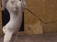 Ziegenbock, Gulabi goats — Foto 3