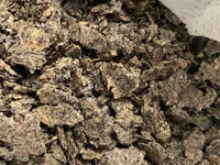 Macuc prajit — foto 2