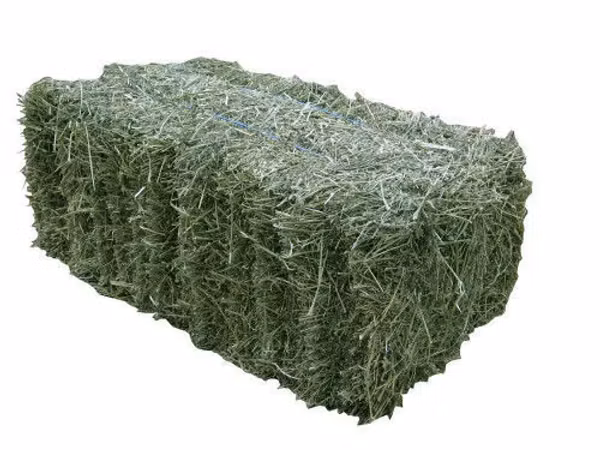 Продаются тюки люцерны
