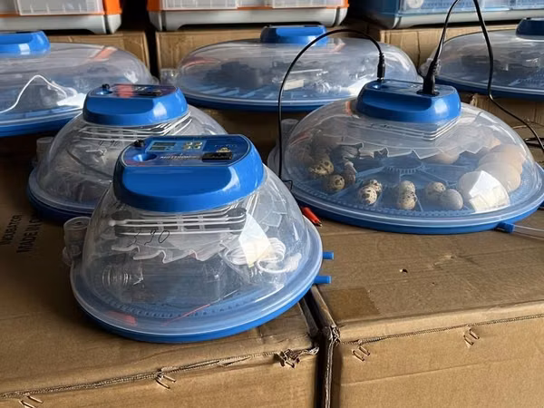 8 Talik Mini Inkubator "DOSTAFKA BEPUL" Avtomatik, 220V