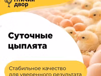 Тооктор — сүрөт 7