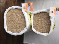 Ecogran! hranesti eco maninci sanatos! — Foto 4