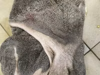 Рубец неочищенный — 1-rasm