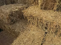 Продаём тюки люцерны — Foto 2
