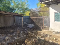 Scroafă — foto 5
