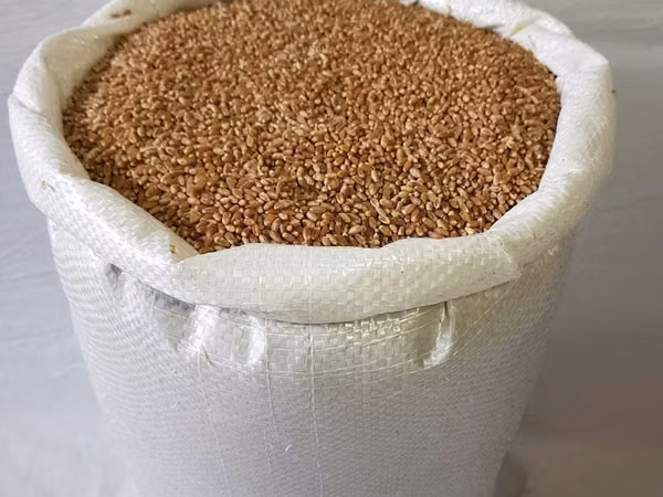 Мешки