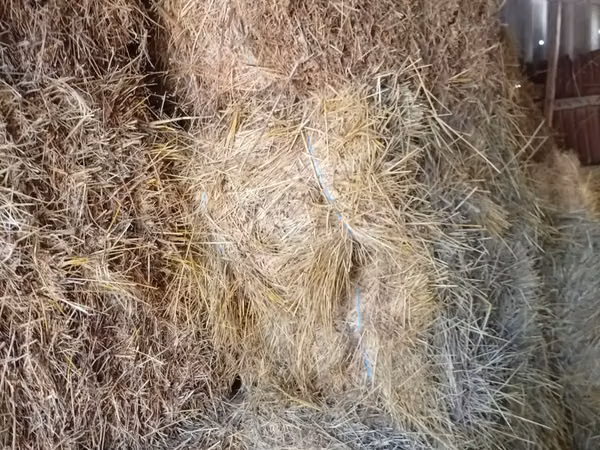 Продажа сена