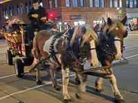 Hengst, Pinto horses — Foto 5