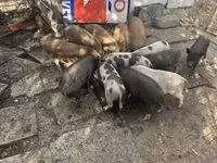 Qaban — foto 3