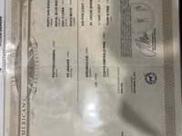 Ат, Квотерхорс — сүрөт 5
