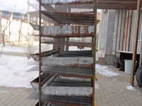 Продам клетки для перепелов — foto 5