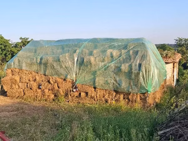Tiucuri Lucerna anul 2026/2025 Edineţ