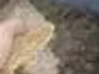 Кунжара ем махсулоти — foto 5