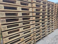 Poddon evro 1-sort 2-sort — foto 2