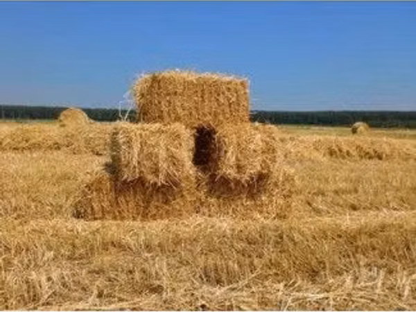Солома в тюках