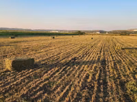 vind lucernă — Foto 3