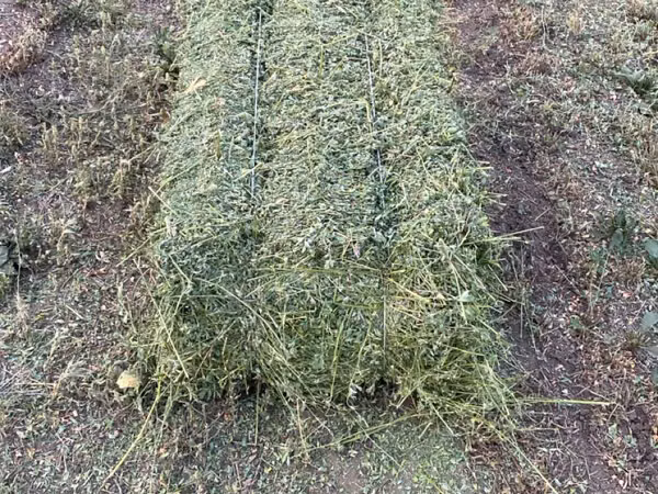 Продаю Тюки люцерны .цена договорная