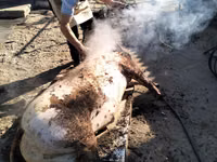 Vind carne de purcel — 2-rasm
