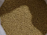 Granule — Foto 3