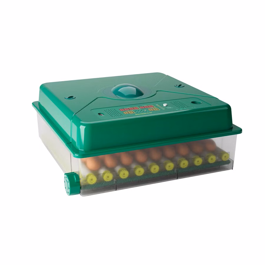 Incubator De Oua Des Champs Eco Profi C-70 - 5i - livrare/achitare in 4rate la 0% / agroteh