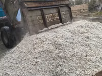 Жом жом жом жом жом жом жом жом жом жом жом жом жом жом жом жом жом — الصورة 1