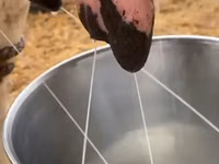 Stimulator la vaca oi si capre lapte premix — 3-rasm