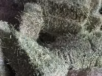 Тюки люцерны! — الصورة 1