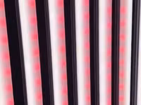 LED - лампы для выращивания зелени и овощей — сүрөт 5