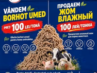 Жом свекольный — foto 2
