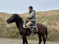 Cheval, Azerbaijan horse — photo 2
