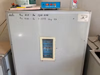 Продам инкубатор Demetra DM-512 б/у — сүрөт 2