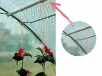 Sera Tip Tunel 3X3X2 M - d0 - livrare/achitare in 4rate/agrotop — फ़ोटो 3