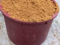 Tarita de de griu fermentata, Отруби ферментированные — الصورة 1