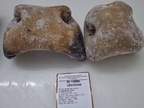 Носы говяжьи замороженные