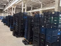 Lazi din plastic/ Пластиковые ящики — сүрөт 2