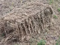 Продаю тюки люцерки 1 украшения 45 и 2 укос 70 — foto 1
