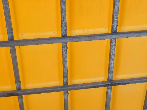Evro cub ca pe foto