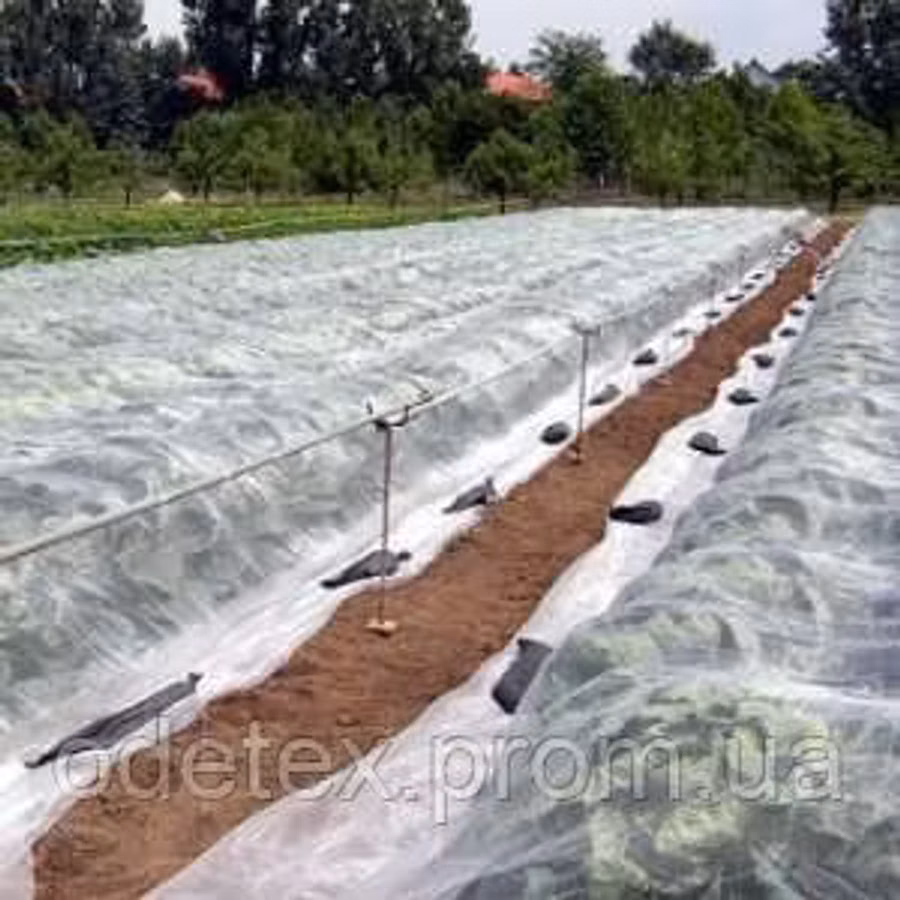 Material protector pentru plante decorative