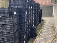 Lazi din plastic Olandeze — foto 5