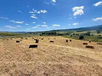 Vind lucernă — foto 4