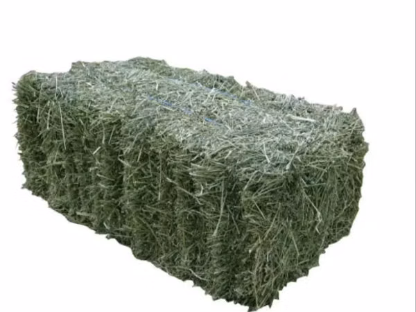 Продам люцерку