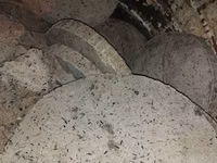 Vînd macuc prățit roți — сүрөт 4