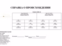 Qoç, Dorper sheep — foto 7