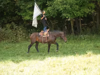 Cal, Racking Horse — foto 3