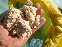 Каша патка моллар — Foto 2