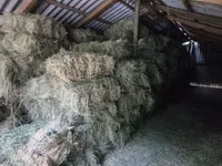 Vind Fîn, Lucernă,Paie în baloți — foto 2