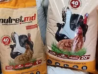 Vind korm pentru - pui; kurkani; rațe; boboci!! — Foto 5