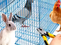 Клещи/Плоскогубцы для изготовления клеток.Cleşte capsator pentru asamblat cuști. — फ़ोटो 3